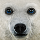 终极北极熊模拟器中文版